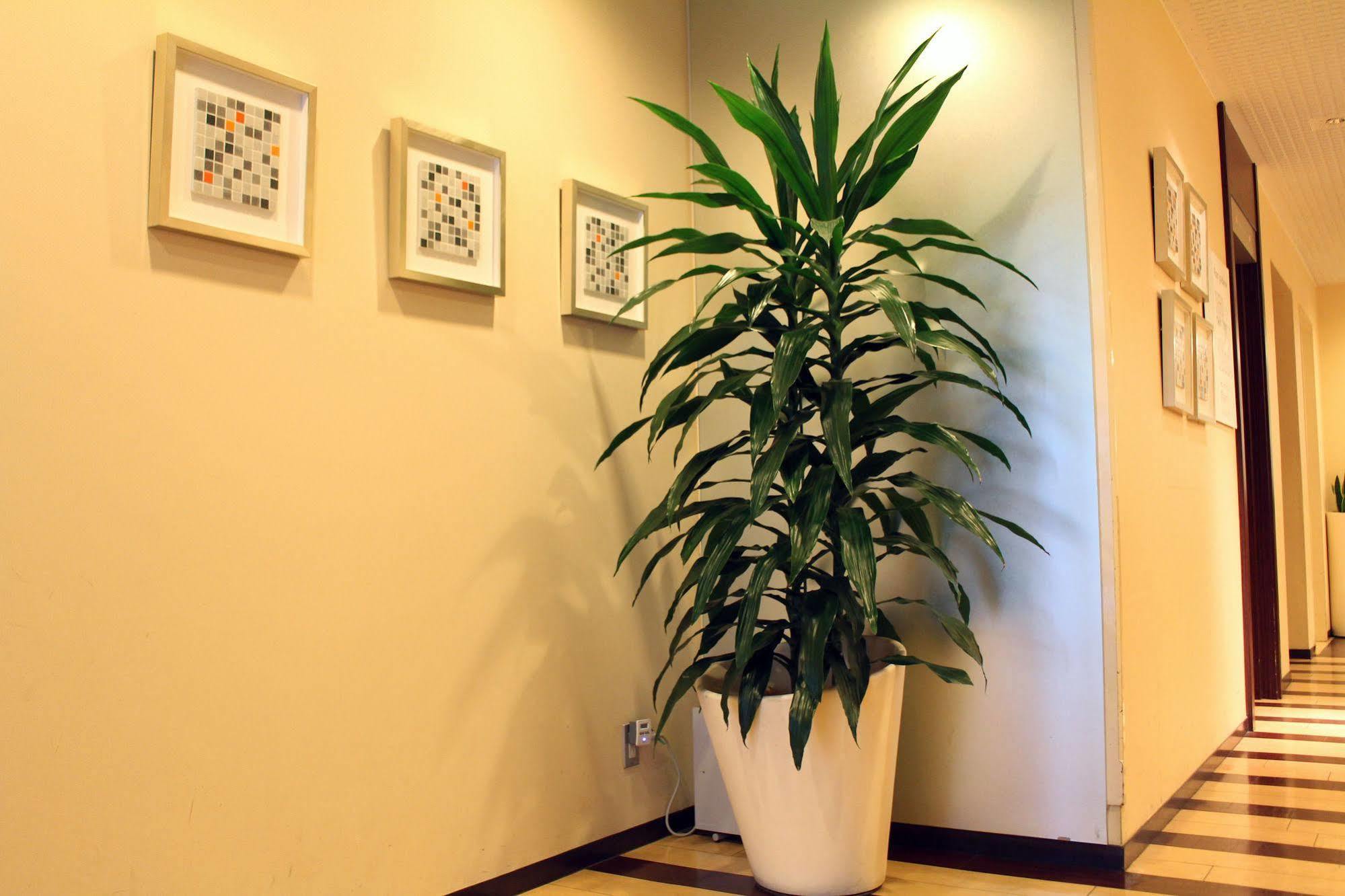 S-plus Sakae Hotel Nagoya